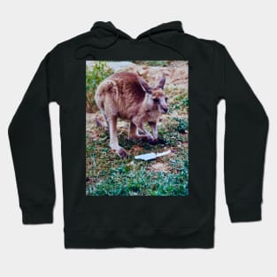 The Joey Hoodie